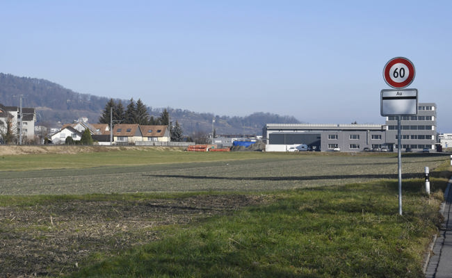 Auf der grünen Wiese, neben dem Lidl in Heerbrugg, soll ein zentrales Feuerwehrdepot gebaut werden
