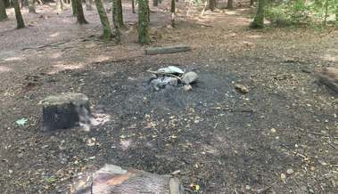 In Niederwil geriet ein Feuer im Wald ausser Kontrolle.