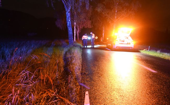 Rollerfahrer stürzt betrunken gegen Baum: Führerschein entzogen