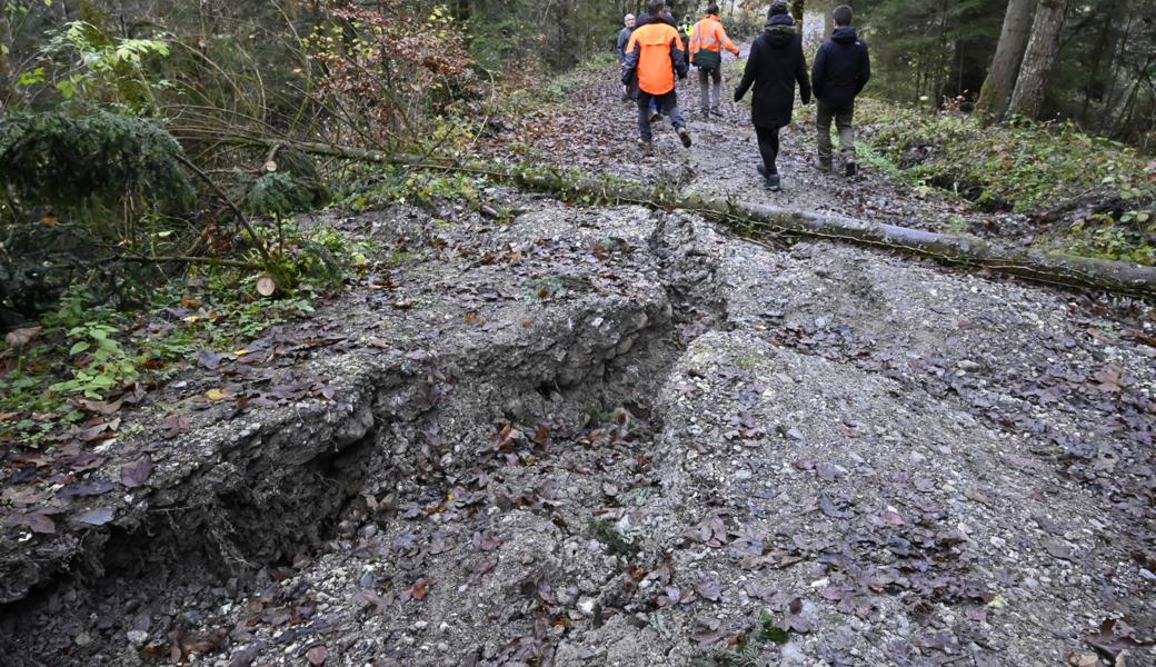 Risse durchfurchen längs und quer den Weg zum Widenbach hinab.