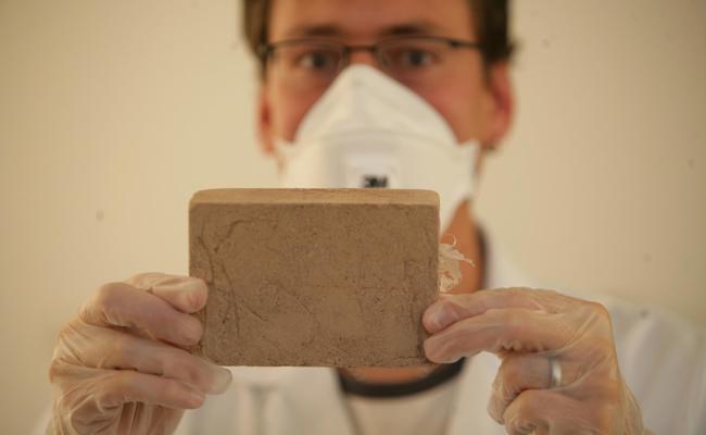 Altenrhein: Bulgaren verstecken 1.5 Kilogramm Heroin im Wald