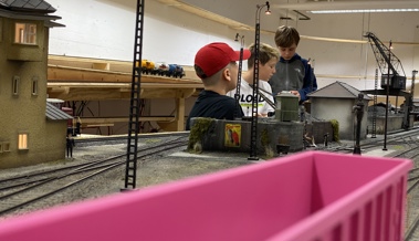 Frühschoppen Fahrbetrieb des Modelleisenbahnclubs