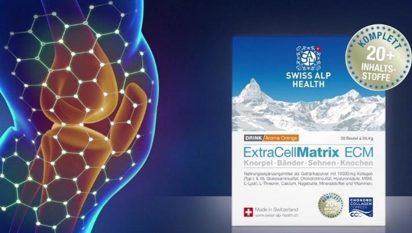 Ratgeber Gesundheit: Gesunder Knorpel – mehr Mobilität für Gelenke