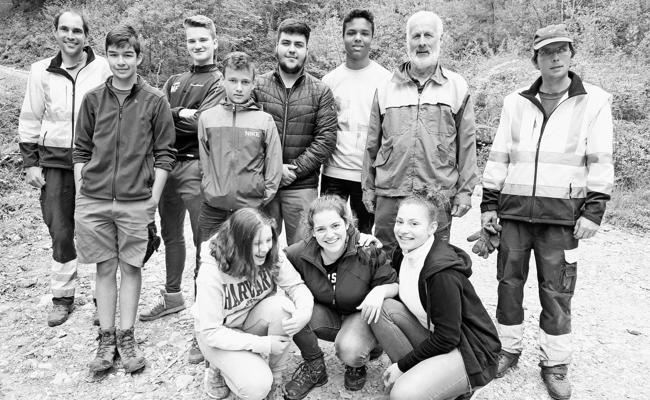 Einsatz im Wald