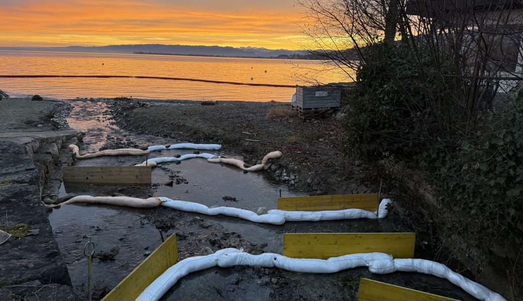 Öl-Schwimmsperre bei der Mündung des Goldacher Dorfbachs in den Bodensee.