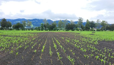 Durchführung fraglich – anhaltendes Regenwetter führt zur Verschiebung des RhyLa-Saisonstarts