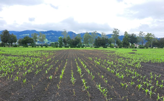 Durchführung fraglich – anhaltendes Regenwetter führt zur Verschiebung des RhyLa-Saisonstarts
