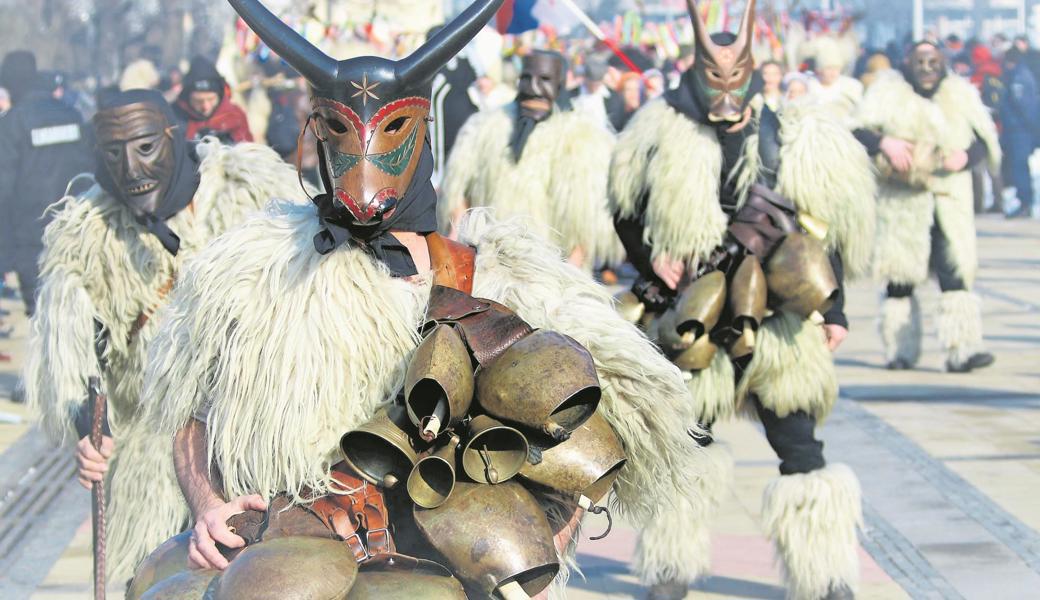 Die mit vielen Glocken behangenen Boes der Brauchtumsgruppe «Boes e Merdules Ottana» werden von den Merdules mit einem Lederseil im Zaum gehalten.