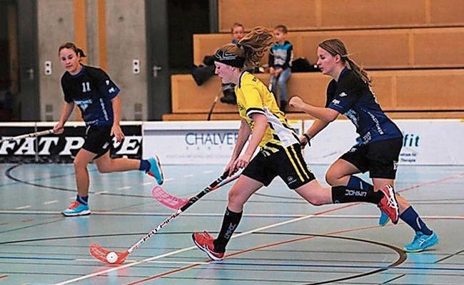 Zwei Siege zum Jahresende für die Gators-Frauen