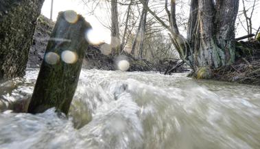 Bauern dürfen Wasser aus Bächen wieder nutzen