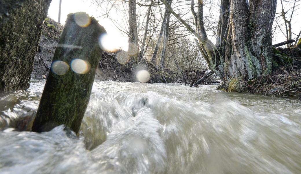 Die Bäche führen wieder mehr Wasser. Der Kanton hat deshalb das während der trockenen Sommerwochen verhängte Wasserentnahmeverbot wieder aufgehoben.