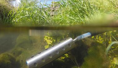 Viele verdünnte Gifte im Wasser