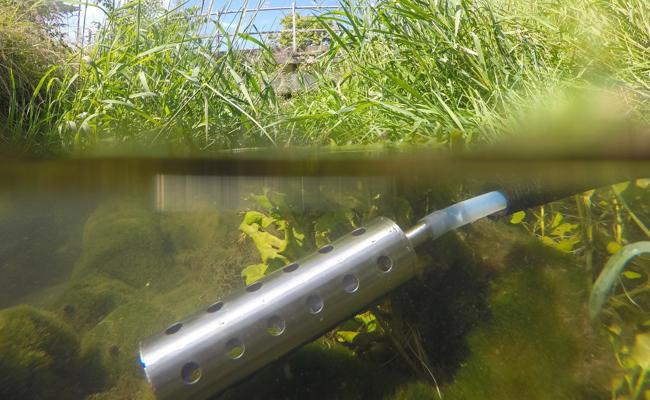 Viele verdünnte Gifte im Wasser