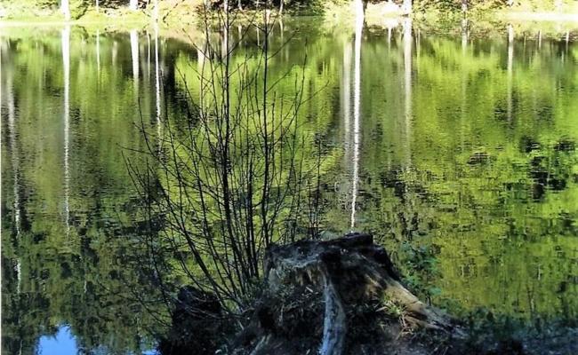 Quellen, Brunnen und Zisternen