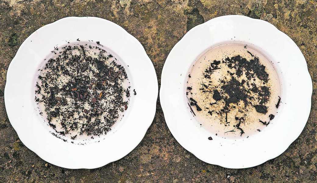 Wenn das Wasser beim Krümeltest sofort braun wird (wie im Teller rechts) ist das ein Hinweis auf mangelnde Krümelstabilität. Der Kompost im linken Teller ist dagegen stabil. Wenn das Wasser beim Krümeltest sofort braun wird (wie im Teller rechts) ist das ein Hinweis auf mangelnde Krümelstabilität. Der Kompost im linken Teller ist dagegen stabil.