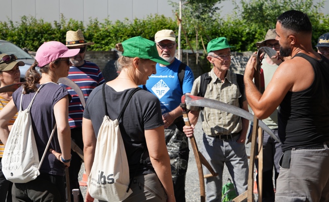 Mähen und Dengeln – altes Handwerk für lebendige Wiesen