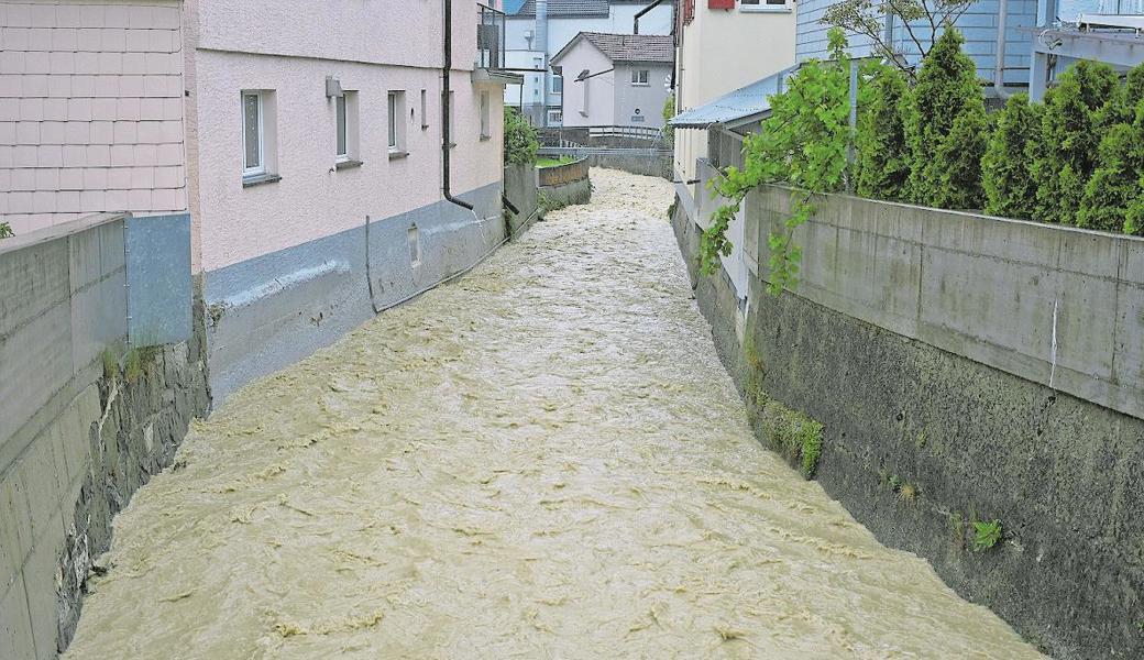 Der Stadtbach in Altstätten führte viel Wasser, der Pegel aber stellte gestern Nachmittag noch keine Gefahr dar. Die Hochwassertore wurden vorsichtshalber geschlossen. Bild: Kurt Latzer