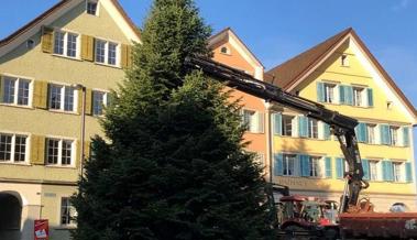 Ein Weihnachtsbaum für die Gemeinde