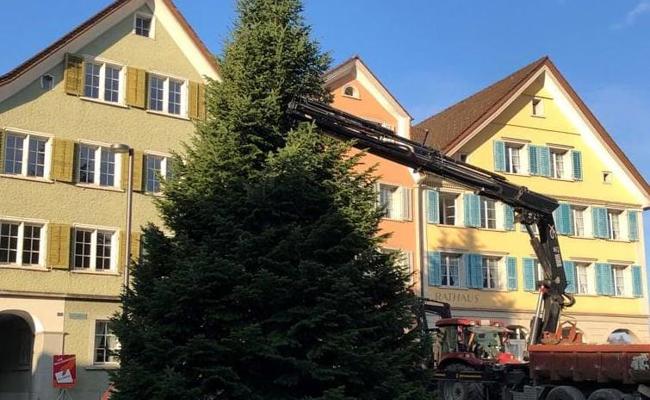 Ein Weihnachtsbaum für die Gemeinde
