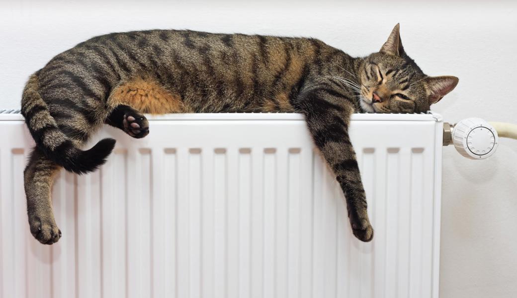 Die warme Stube kostet mehr: Im Schnitt sind es in einem Einfamilienhaus mit Gas für Heizung und Warmwasser rund 700 Franken.