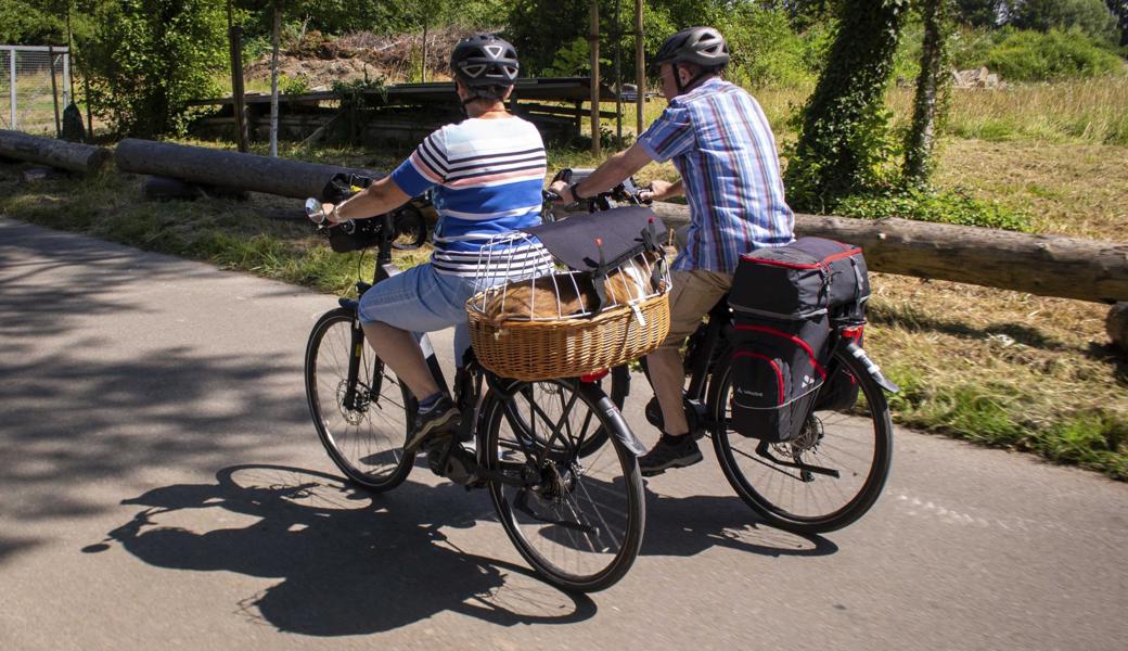 Kommen Touristen in das Rheintal, finden sie eine Vielfalt an Ausflugsmöglichkeiten in der Umgebung. Beliebt ist das Velowegnetz.  