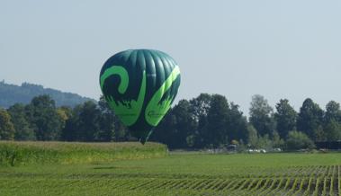 Ortsgemeinde landet im Riet