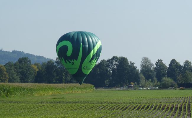 Ortsgemeinde landet im Riet