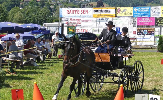 Starke Pferde und schnelle Gespanne