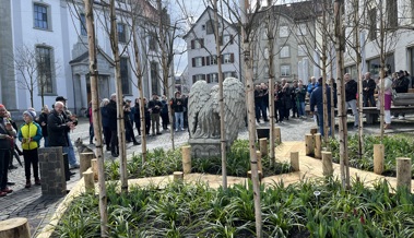 Altstätten ist für zwei Monate wieder Naturstadt mit viel Grün