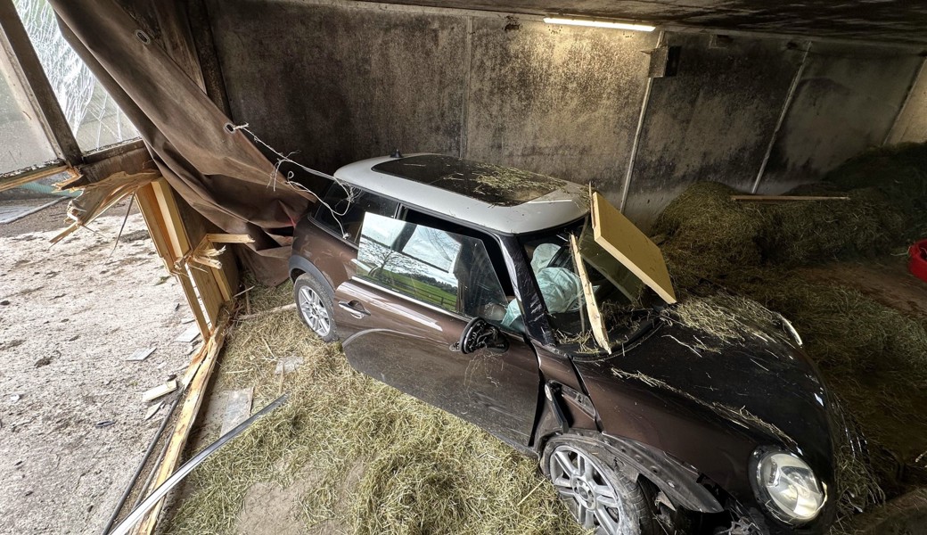 Als das Auto die Stalltür durchbrach, waren die Kühe im Stall. Ihnen geschah nichts, die Lenkerin verletzte sich leicht.