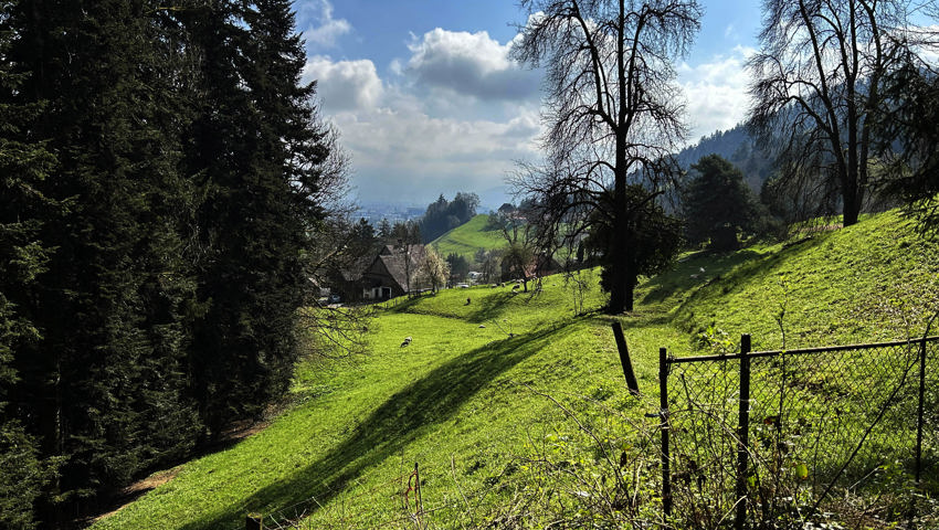 Auf dem Rheintaler Höhenweg in Berneck. Auf dem Rheintaler Höhenweg in Berneck.