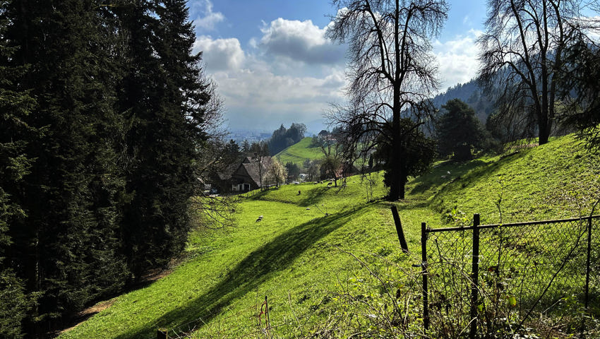 Auf dem Rheintaler Höhenweg in Berneck.