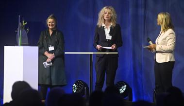 Wifo: Eine neue Skulptur für die Gewinner des Wirtschaftspreises