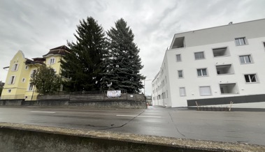 In Rebstein ging's ums Geld und um die Frage: «Seid ihr Immobilienspekulanten?»