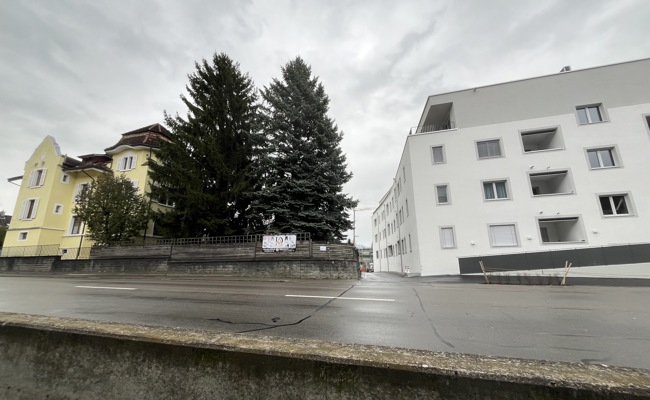 In Rebstein ging's ums Geld und um die Frage: «Seid ihr Immobilienspekulanten?»