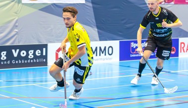 Die Rheintal Gators schliessen das Jahr mit einem Heimspiel ab