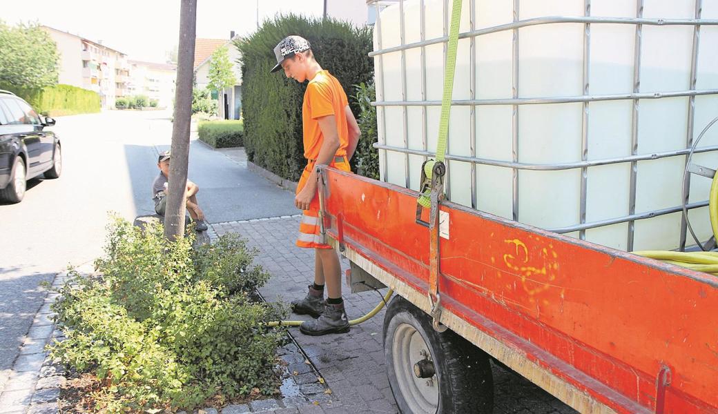 Mitarbeiter des Bauamtes sind mit einem grossen Wasserkanister unterwegs und versorgen junge Bäume mit der lebenswichtigen Flüssigkeit.Susi Miara