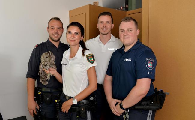 Polizei rettet Vogel von den Gleisen