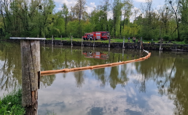 Benzin- und Heizölgeruch: Alten Rhein mit Öl verschmutzt