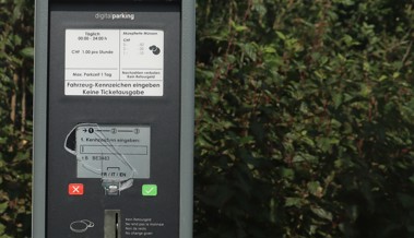 Das Dilemma mit dem  Parkingmeter - kes Zwänzgi gha?