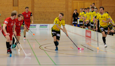 Steiniger Weg in die 1.-Liga-Playoffs für die Rheintal Gators