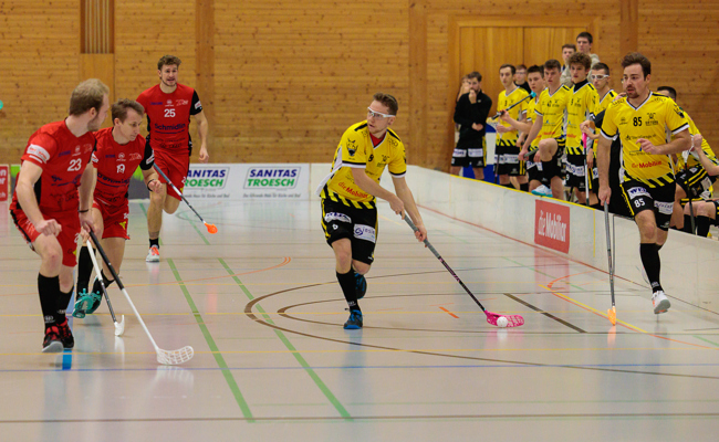 Steiniger Weg in die 1.-Liga-Playoffs für die Rheintal Gators
