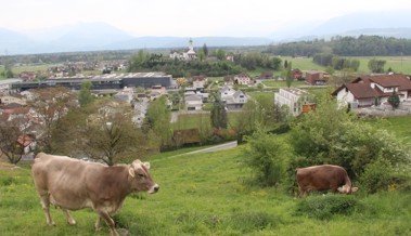 Steuerkraft wächst, Steuerfuss sinkt - und mit Kanton hat Rüthi Differenzen