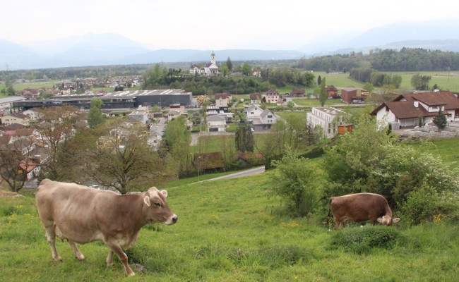Steuerkraft wächst, Steuerfuss sinkt - und mit Kanton hat Rüthi Differenzen