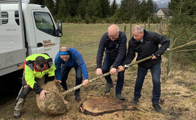 200 Obstbäume für Diepoldsau