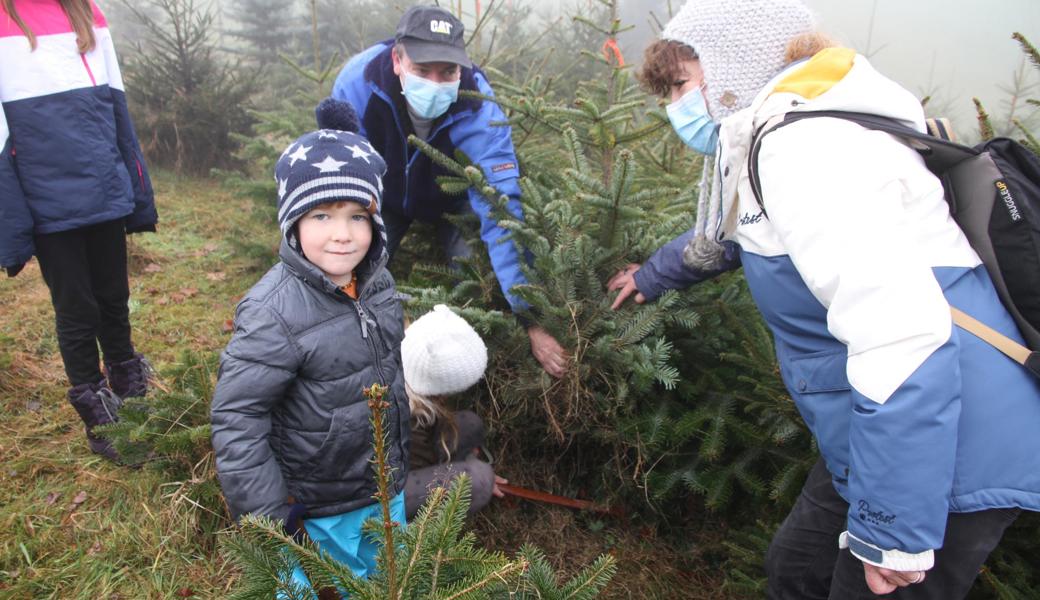 Familie Bruderer fällte den Christbaum in der Zucht im Bernecker Unterrüden selbst.