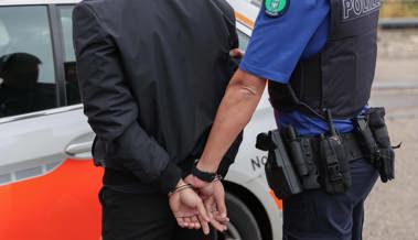Jugendlicher Asylbewerber schlich in Autos und eine Wohnung - Gegen die Polizei wurde er handgreiflich