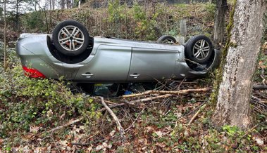 Sekundenschlaf: Lenker stürzt mit seinem Auto steiles Wiesenbord hinab