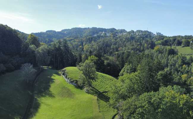 340 Unterschriften gesammelt: Apfelberg soll Naturschutzgebiet werden