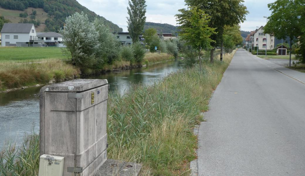 Gibt es gegen die Hochwasserschutzmauern keine Einsprachen, könnte deren Bau noch dieses Jahr beginnen. Dann bleibt in Zukunft der Teil neben den Bäumen am Kanal trocken. 